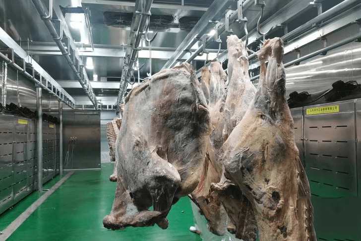 建一個3000噸羊肉冷庫需要多少錢